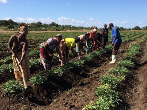 Xavier Tivane led the revival of community gardens to fight hunger in his community.