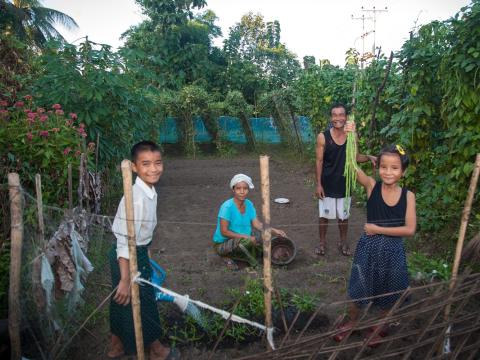 The Success Of Home Gardening World Vision International