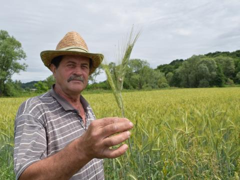 Replanting hope in the flood plains of Bosnia and Herzegovina