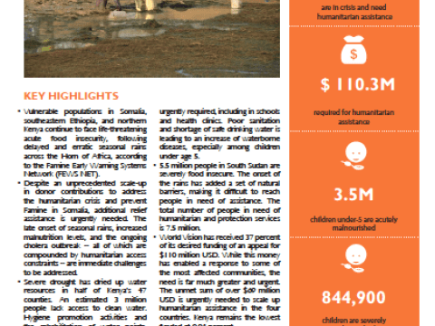 Download Situation Report Cover of Situation report