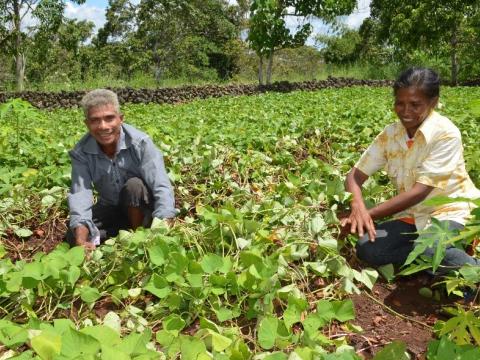 Gaspar (55, left) and his wife Recardina (49, right) grow nutritious crops in their kitchen garden. Photo: Ambrosio Alexandre / World Vision