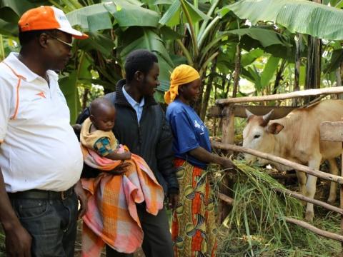 Eric' family showing with proud the cow they bought with the cash earned thanks to cash tranfer Eric' family beneficiary of cash transfer