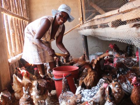 Savings groups empowering women in Mutasa