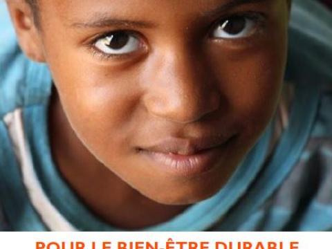 World Vision Mauritania Annual Report 2015