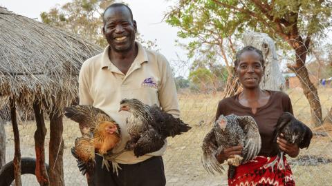Lucas Munankwenka (56) & his wife Josephine (48) show off the chickens they own.jpg
