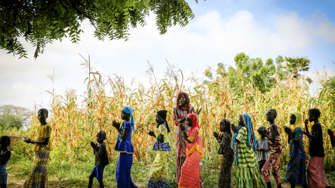 Senegal Child Participation and Protection sector image