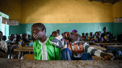 Senegal Education and Lifeskills cover image