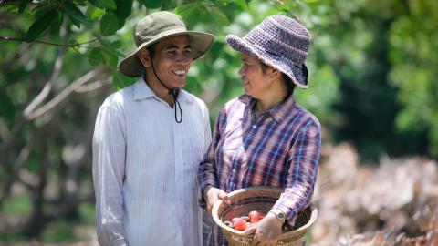 Khmer husband and wife smiling at each other in their orchid with plentiful crops, Cambodia.