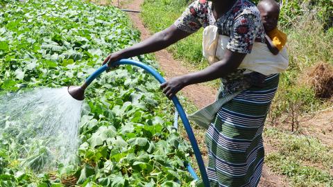 Food Security in Mali