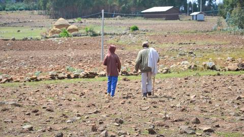 ITAW Ethiopia Child Neglect