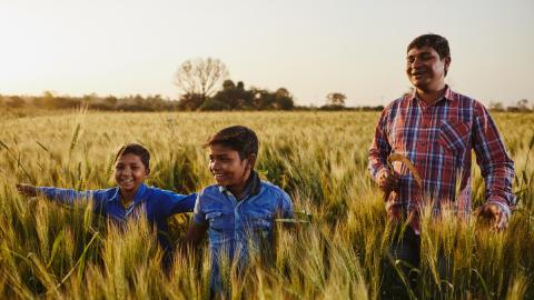 children walking with an adult through a field