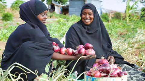 women with onions from their garden