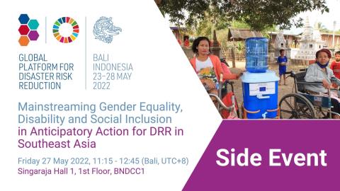 GPDRR Mainstreaming gender, disability & social inclusion