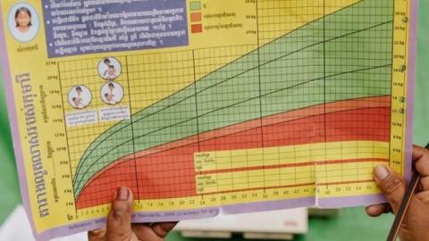 Health and Nutrition Research