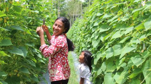 Promote sustainable agriculture & alternate livelihoods