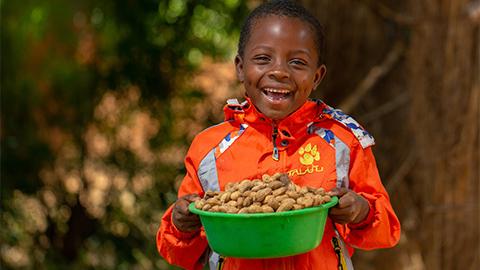 End of Decade of Action on Nutrition
