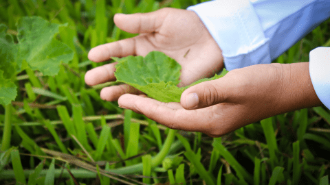 Whose Future Are We Negotiating? 