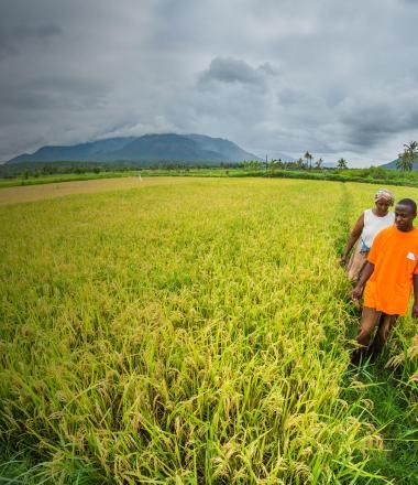 A World Vision employee walks in a field with a client in Tanzania