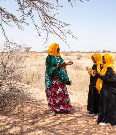 Farmer managed natural resources in somalia