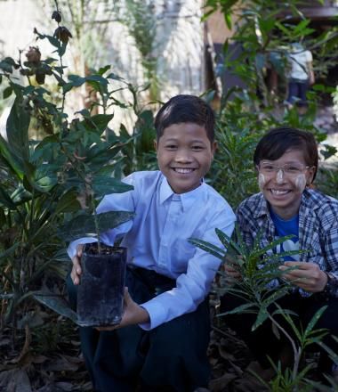 Families in Asia with plants