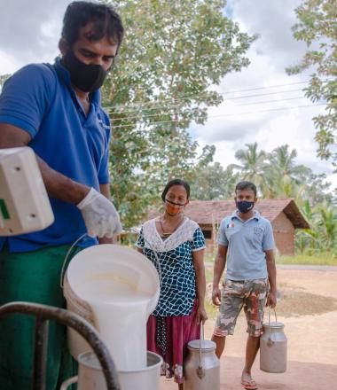 Dairy Development