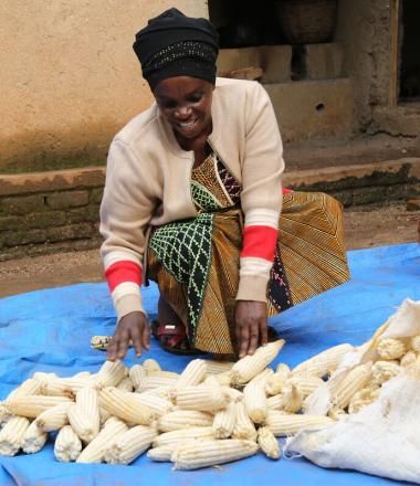 Woman sorts corn on the ground 