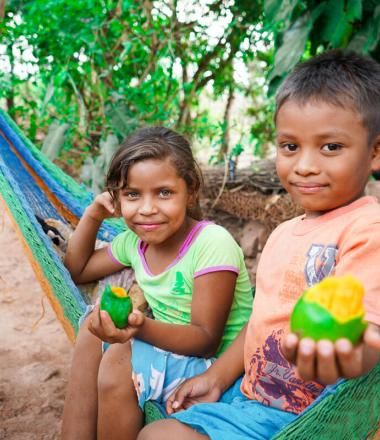Children sitting in a hammock eating mangos