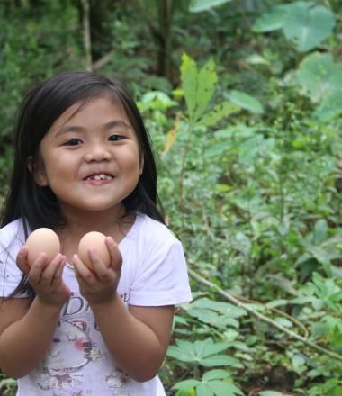 Livelihoods hero photo - girl holding eggs