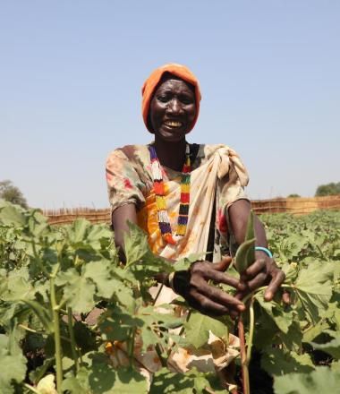 Woman sits in field of crops