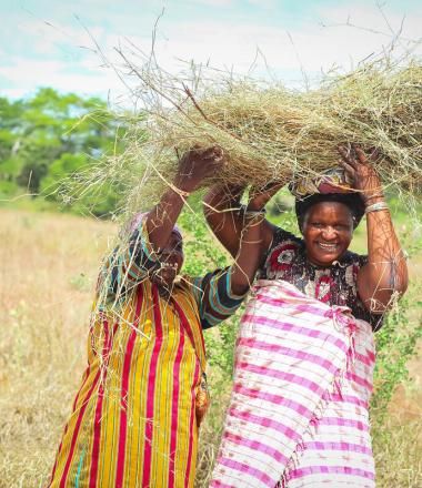 two hold women hold cut grass above their head and smile