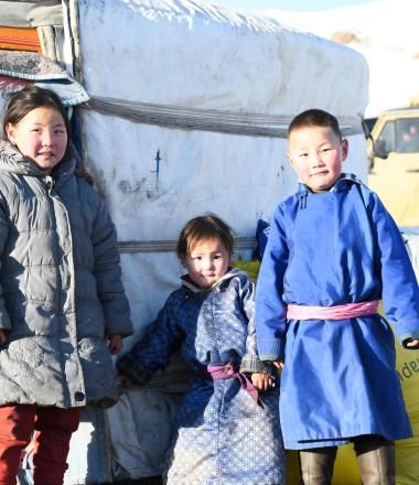 Response to Mongolia Dzud