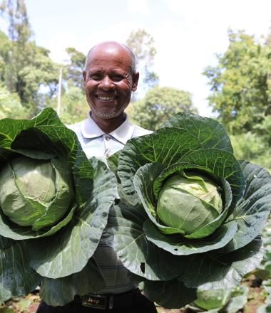 Man holding cabbages on his back yard