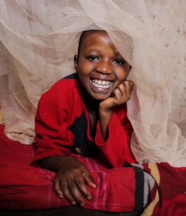 Malaria Programming