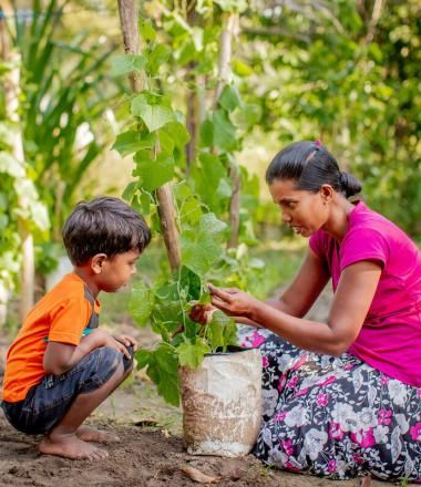 Pesala is 4 years and knows all fruits and vegetables in his garden. 