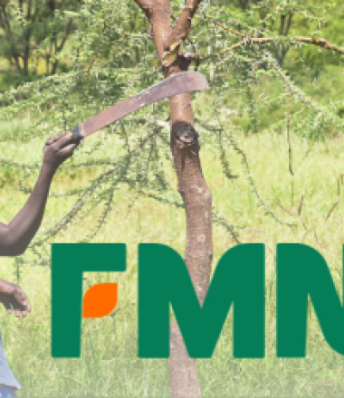 FLS FMNR Logo