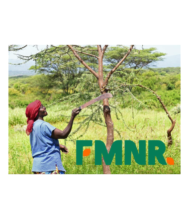 FMNR/africa