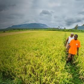 A World Vision employee walks in a field with a client in Tanzania