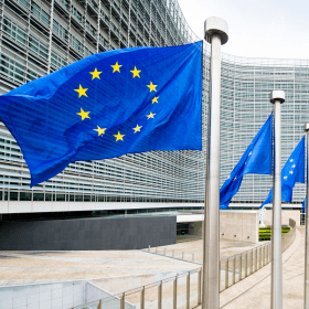EU flags