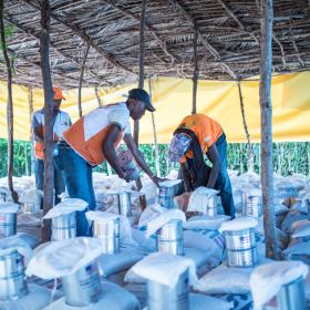 Haiti Food Security