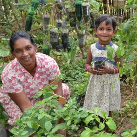 Building Secure Livelihoods