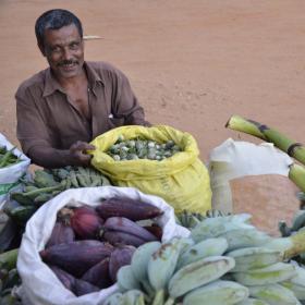 Local Value Chain Development