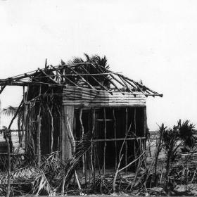 1978