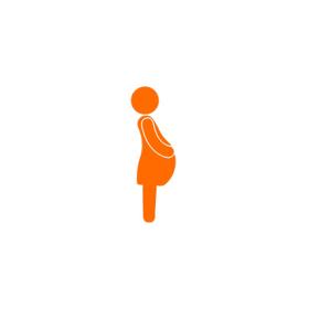 pregnant mother