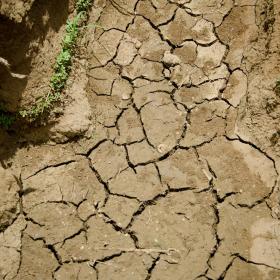 Cracked earth