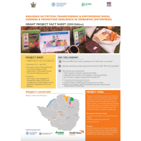 Fact Sheet