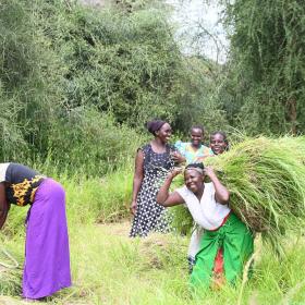 Women smiling as they collect crops in a field