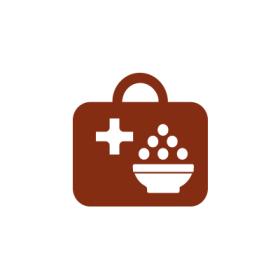 Doctors bag icon