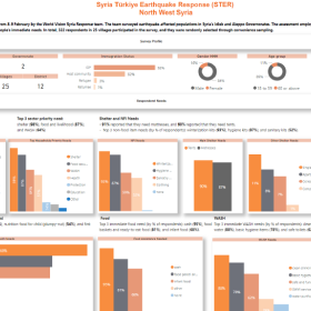 Syria & Türkiye Earthquake Rapid Assessment Report