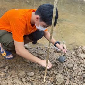 Children planting Mangroves in Thailand