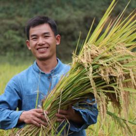 Ecological farming in China